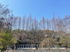 -苏州文庙(姑苏区)