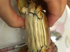 -乡乐园蟹庄·阳澄湖农家乐