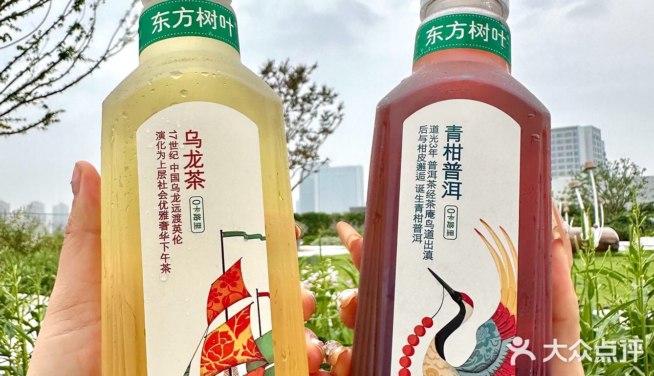 有人懂东方树叶吗?天天把它当水喝。。。