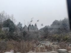 -石棉县孟获城