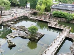 -蛇蟠岛