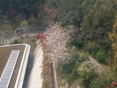 -广州市白云山风景名胜区