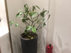 -将相和·海鲜蒸饺大连菜