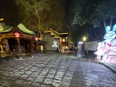 -两棵枇杷树