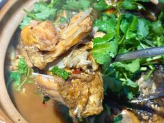 -九道菜有鸡鱼头(石鼓路店)