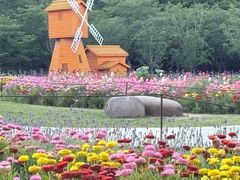 -苏州上方山国家森林公园