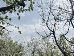 -洨河生态公园