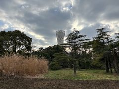 -上海滨江森林公园