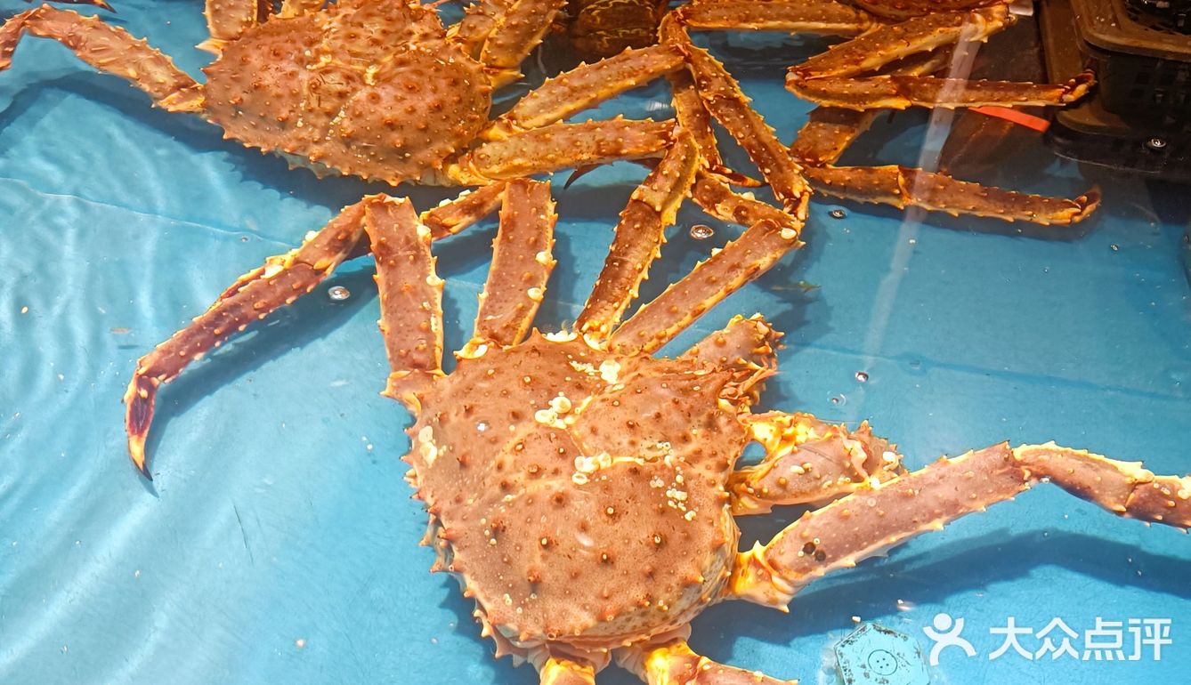 爱吃海鲜的都来了吗