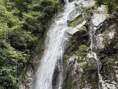 -炎陵县神农谷国家森林公园