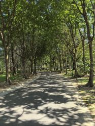 -广州市儿童公园