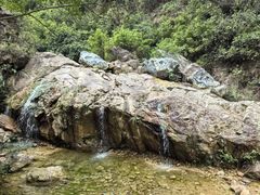 -南海湾森林生态园