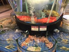 -陶陶居海鲜酒家(新马路店)