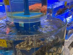 -新海渔港·胶东海鲜家常菜·家宴(奥体中心店)