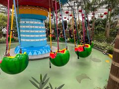 -南宫五洲植物乐园