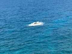 -三亚蜈支洲岛旅游区