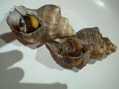 -丁字口海鲜热炒·烧烤大排档