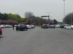 -洨河生态公园
