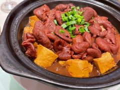 肠肠豆腐煲-老西门·常州菜(新区店)