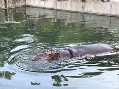 -哈尔滨北方森林动物园