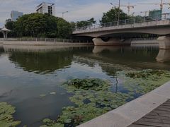 -映月湖中央公园