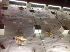 -青岛贝壳博物馆