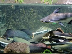 -太平洋海底世界