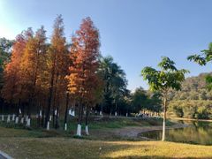 -东莞市虎英郊野公园