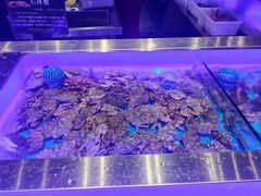 -SEA西雅图海鲜自助餐厅(海乐世界店)