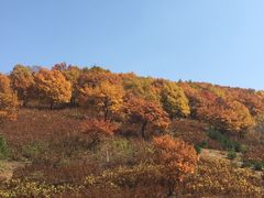 -乌兰布统草原
