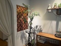 -沐森 •疗愈头疗馆(打浦桥店)