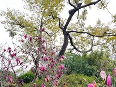 -晓港公园