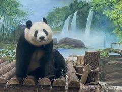 -杭州动物园