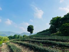 -雅达·阳羡溪山小镇中心