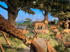 -国家自然博物馆