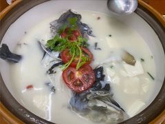 -全乐鱼馆·淳牌有机鱼直营店