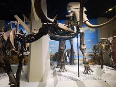 -国家自然博物馆