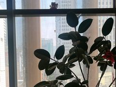 -尚宴牛特鲜自助(太原街万达店)