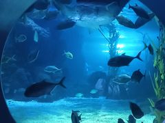 -常州海昌海洋探索馆