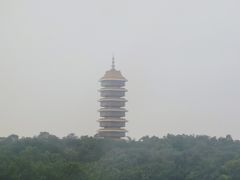 -三水森林公园