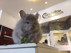 -龙猫仔乐园(惠福东路店)