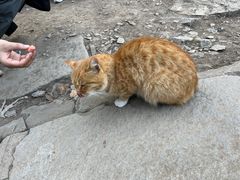 -终南山南五台景区