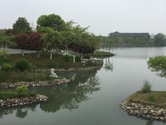-东台西溪天仙缘景区