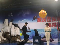 -重庆欢乐海底世界