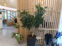 -章光101防脱养发荟