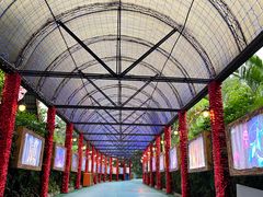 -广州长隆国际大马戏