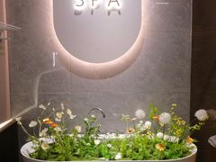 -小仙女采耳·按摩·SPA(深圳旗舰店)