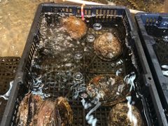 -三号码头罗氏虾小馆