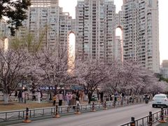-西北湖绿化广场
