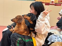 -和它·交个朋友·狗咖猫咖(爱琴海店)